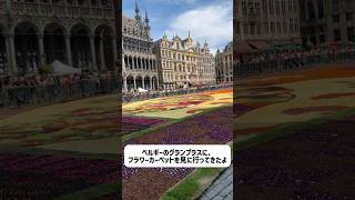 【ベルギー🇧🇪】北斎の巨大フラワーカーペット🌷#shorts #ベルギー #フラワーカーペット