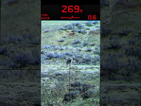 Burris Drop Tine Scope AHTV