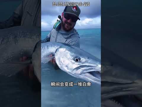 野外遇到這些情況，別輕易靠近 #戶外 #保護野生動物人人有責 #科普