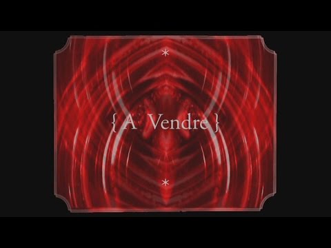 Hervé Lafleur - { A VENDRE } - Poésie Sonore ( Hervé Lafleur / Stathis ) [DEMO]