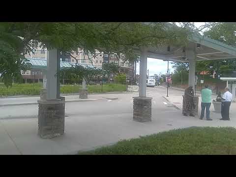 GATRA 2006 Gillig Low Floor 29ft #0659 2