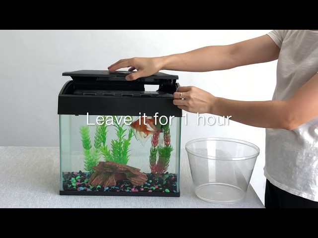 فيديو شرح تفاصيل حوض سمك من اي اكواريوم زجاجي سعة 14لت