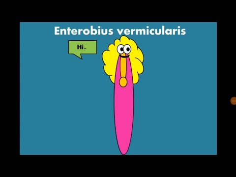 Enterobius vermicularis (Pinworm - Oxyuris) الدودة الدبوسية