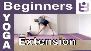 20 minute Iyengar Yoga Class for Beginners - Extension