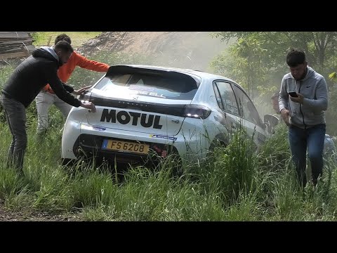 Sezoens Rally 2023 | Mistakes - Dirt Action - Pure Sound