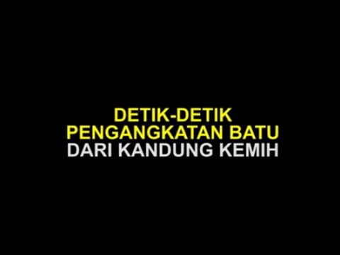 Patogen wanita terbaik Apa yang harus dilakukan dengan impotensi psikologis