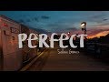 Perfect - Selena Gomez (Lyrics)
