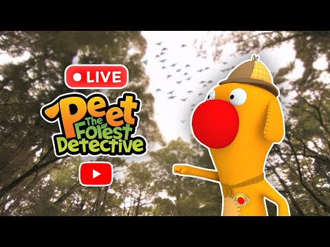 🔴 NEW Peet the Forest Detective LIVE STREAM #live #new #animals
