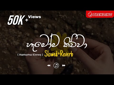 Hamoma Kiwwa - හැමෝම කිව්වා (Slowed+Reverb)