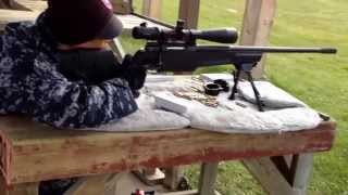 .308 SIG SAUER SSG 3000 Target Shooting