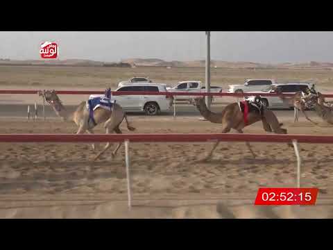  ش 10 (ملهمه) لـ سلطان علي رويشد النيادي 6:5 , شارة الديوان 3 2026/10/05 سويحان لقايا 