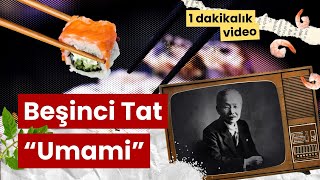 5. Tat: Umami Nedir?