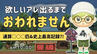 【あつ森雑談ラジオ】集大成！インセクトアロハが出るまで走り続ける！｜睡眠・作業用