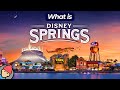 An Idiot S Guide To DISNEY SPRINGS Walt Disney World