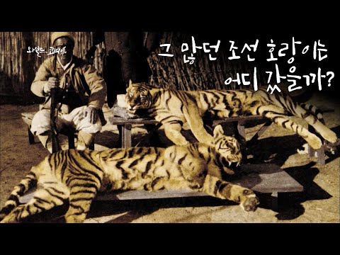 아이콘