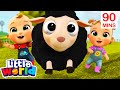 Chasing Baa Baa Black Sheep | Kids Songs & Nursery Rhymes by Little World
