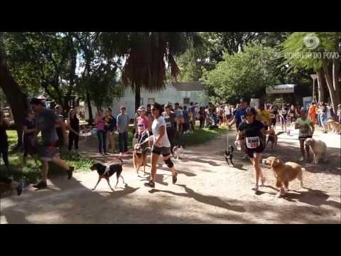 2ª edição da corrida de cachorros Vai Totó