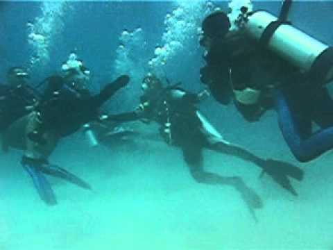 Panicking Diver Gets Violent!