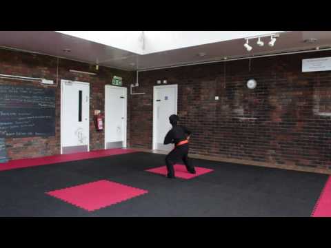 Fuzion Martial arts video.