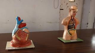 Holy World School Video