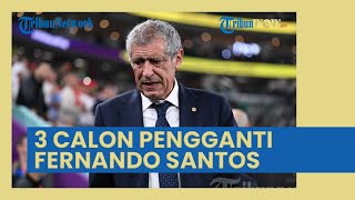 3 Calon Kandidat Pelatih Pengganti Fernando Santos untuk Timnas Portugal usai Piala Dunia 2022