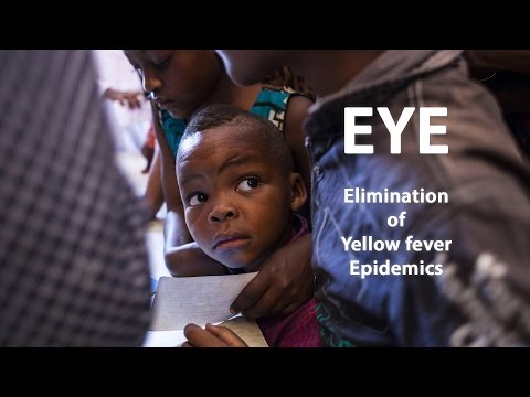 WHO: EYE strategy - Working together for eliminating yellow fever epidemics