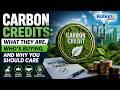 What is Carbon Credits, Who’s Buying, And Why You Should Care