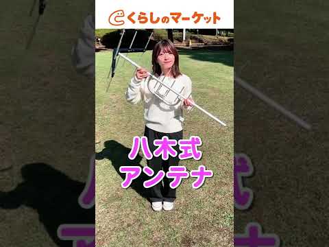 アンテナフォリ科 - 定義