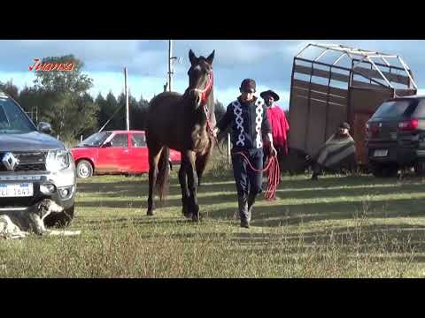 Carreras de Caballos Sauce Solo 15 06 25