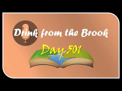 【Drink from the Brook】：Day 501