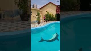 Homestay in Tam Coc Ninh Binh #shorts