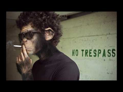 dEEP SHEPHERD - PART 3 Mystery Global Underground