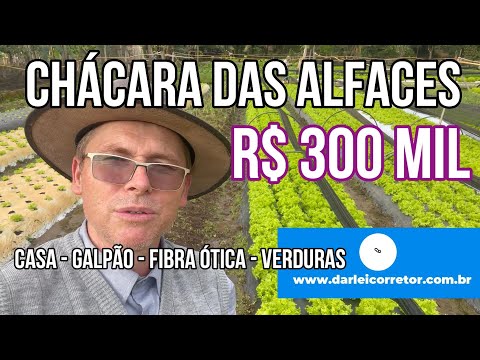 118446 CHÁCARA EM ARARICÁ COM CASA, POÇO, VERTENTE, FIBRA ÓTICA E PRODUÇÃO DE VERDURAS R$ 300 MIL