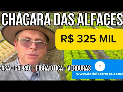 Vídeo