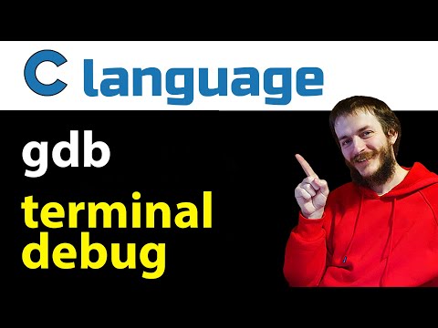 Debug in 'gdb' terminal: pause code execution