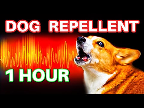 Dog Repellent Ultrasonic Sound 1 HOUR