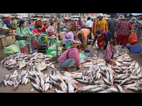 Amazing Site Distribute Fish, Seafood & More in Cambodia - Activities of Vendors in Fish Market