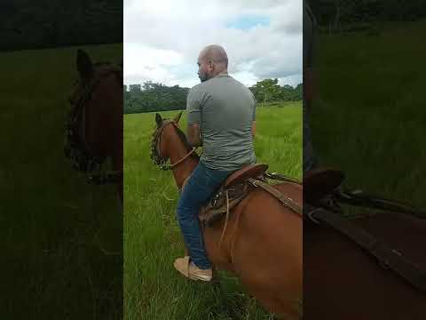 cabalgando en el llano