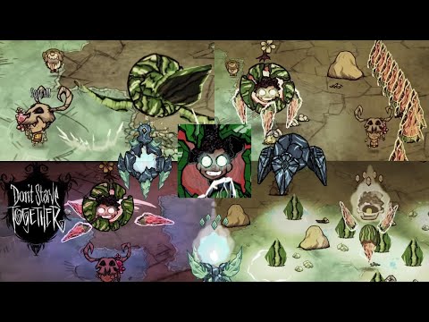 Don't Starve Together But We Fight Cursed Waltermelon