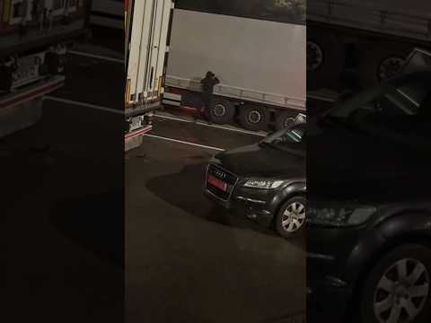 Night butterflies 🤯🚛 farik636301 #truckdriver #lkw #camion #bigrig #hgv #lorry #fail #ets2#fahrer