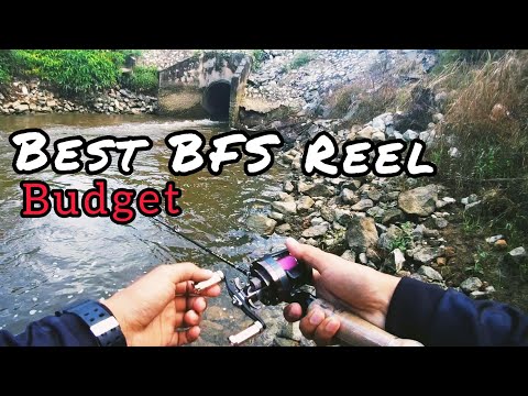 Best BFS Reel Budget : Sabre JKS51 Easy to handle