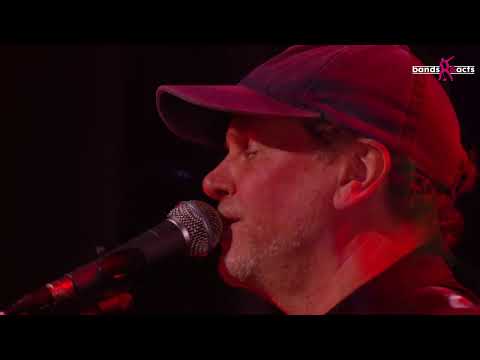 The LSB Experience - Crosby Stills Nash & Young Tribute Band - promo Bands and Acts