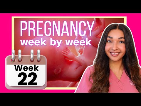 22nd Week of Pregnancy | Pregnancy Week By Week