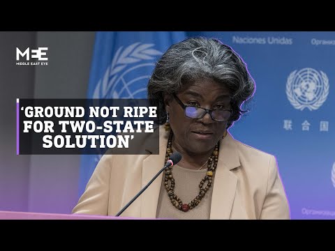 US envoy to the UN responds to Ukraine/Palestine 'double standard'