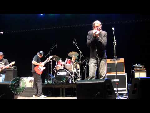 Blues Etílicos - Walking Blues