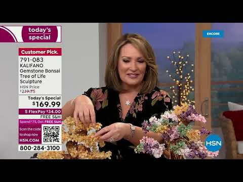 HSN | Designer Gallery with Colleen Lopez Jewelry Gifts 11.29.2022 - 02 AM