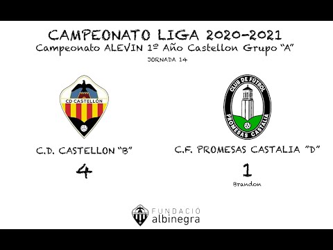 Jornada 14 Campeonato de Liga Alevin: C.D. Castellon "B" 4 -1 Alevin "D"