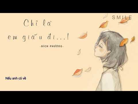 Chỉ là em giấu đi | Bích Phương [ Lyrics Video]