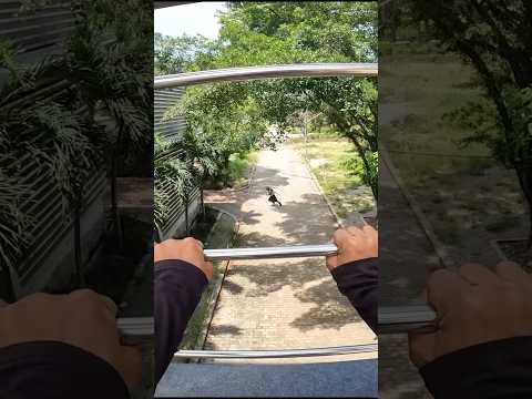 Angry Serbian Dancing Lady Horror and the Ending Chase Episode 2 #serbiandancing #parkour #shorts