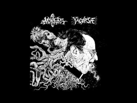 Yacøpsæ (Yacoepsae) - split 10" with Irate Architect FULL ALBUM (2016 - Fastcore / Powerviolence)